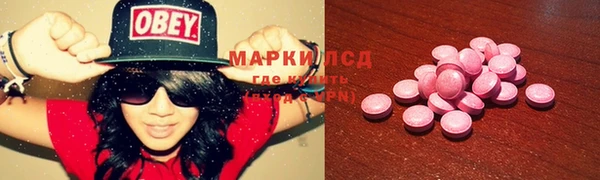 ПСИЛОЦИБИНОВЫЕ ГРИБЫ Алексеевка