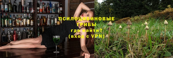 ПСИЛОЦИБИНОВЫЕ ГРИБЫ Алексеевка